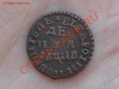 Копейка 1713, денга 1712 - SDC10779.JPG
