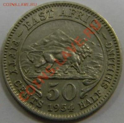 50 ц. Восточная Африка 1954г. - DSCN4336_thumb