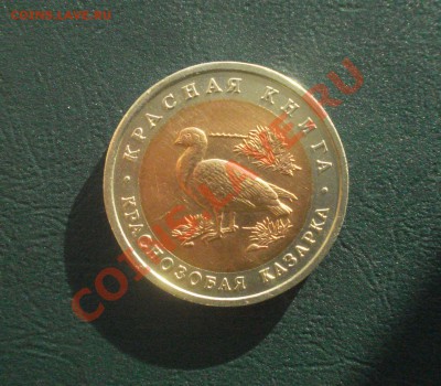 КК 10 руб.1992 Краснозобая казарка до18,12.12 в 22.00 по МСК - каз1