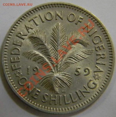 шиллинг Нигерия 1959г. - DSCN4352_thumb