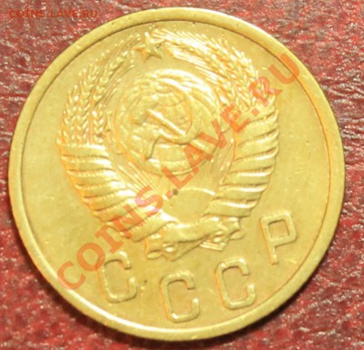 2к52г нарядная Короткий до 16.12.12.  23-00 - 2-52о