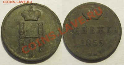 Денежки 1855 ВМ+полушка 1861 ВМ ____  (убитые ...) - Денежка 1855 ВМ Н1