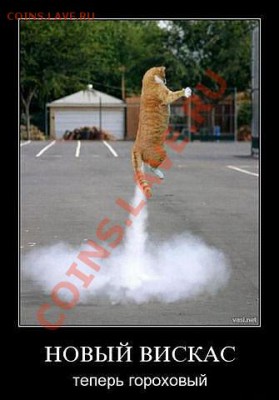 юмор - getImage (1)