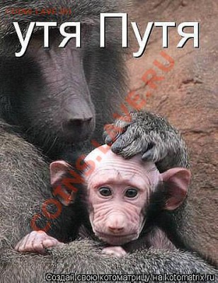 юмор - getImage (2)