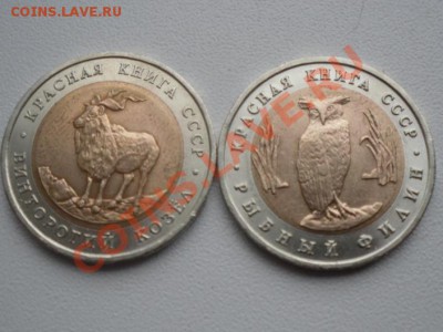 КРАСНАЯ КНИГА 1991 до 20.12.12 22-00 МСК - SDC11489.JPG