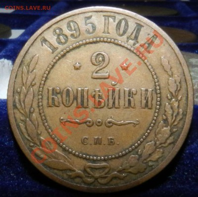 2  копейки   1895  спб  (желтая сухая)   до 18.12.12 - DSCN6077.JPG