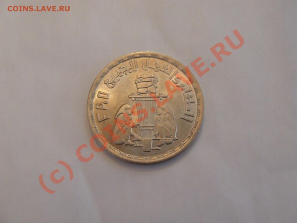 Опознайте монету с арабской вязью - DSCF3014.JPG