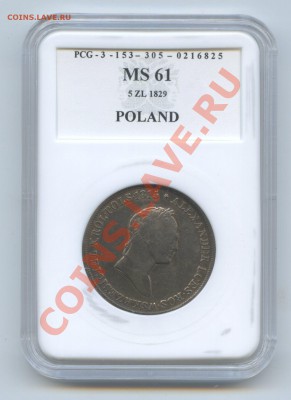 5 злотых MS 61 фирма PCGбоценка состояния - img017