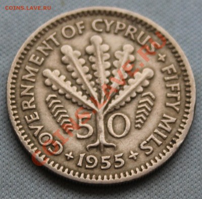 БРИТАНСКИЙ КИПР 50 милс 1955г.РАСТЕНИЕ  до 21.12.12г.в 22-00 - IMG_3862.JPG