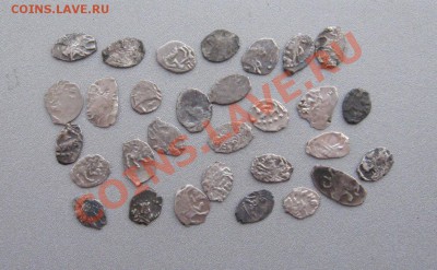 Чешуя Петровская (30 штук) до 20.12.12г.в 22:00 мск. - IMG_3349