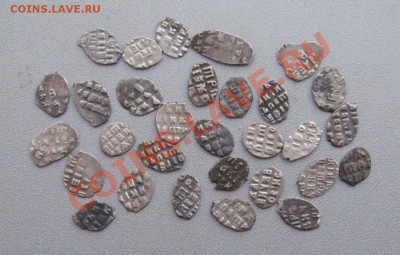 Чешуя Петровская (30 штук) до 20.12.12г.в 22:00 мск. - IMG_3340