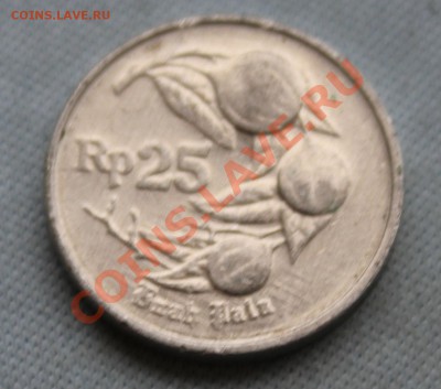 ИНДОНЕЗИЯ 25рупий 1992г. ФРУКТЫ до 22.12.12г.в 22-00 - IMG_3871.JPG