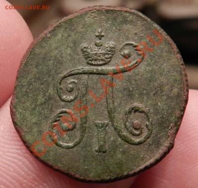 Полушка   1797   (ам)   не чищена и не мыта - DSCN6136.JPG