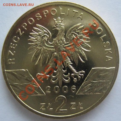 2 зл.:черепаха,сурок,ящерица,сокол- до 20.12, до 22-00 - IMG_7491.JPG
