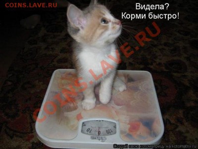 юмор - getImage (3)