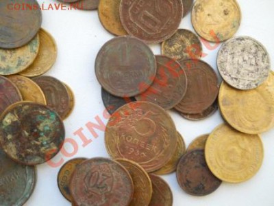 48 советов до 61г до 23.12.2012 г. - DSCN2350.JPG