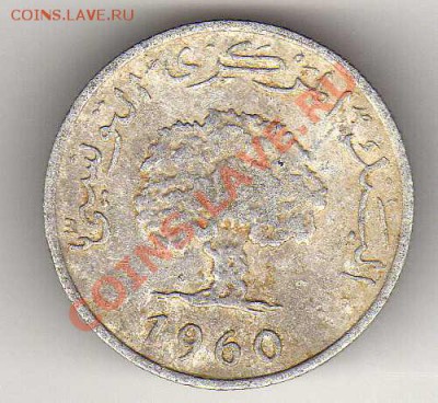 Тунис миллим 1960 до 24.12.12 в 22.00мск (3893) - img428