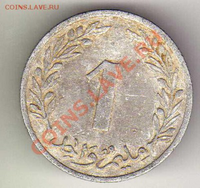 Тунис миллим 1960 до 24.12.12 в 22.00мск (3893) - img451