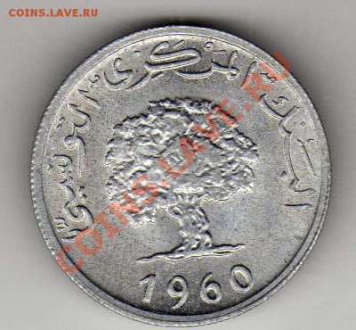 Тунис 5 миллим 1960 до 24.12.12 в 22.00мск (3893) - img430