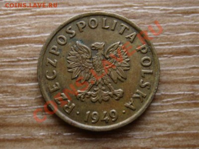 Польша 5 грошей 1949 бронза до 21.12.12 в 21.12 М - IMG_8289