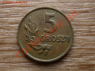 Польша 5 грошей 1949 бронза до 21.12.12 в 21.12 М - IMG_8288