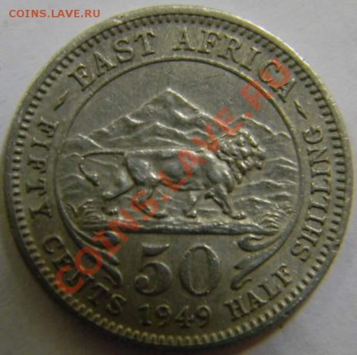 50 ц. Восточная Африка 1949г. - DSCN4490_thumb