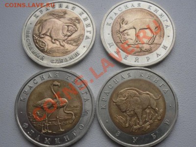 КРАСНАЯ КНИГА 1994 4шт до 23.12.12  22-00 МСК - SDC11517.JPG