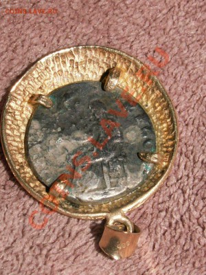 помогите с опознанием - PICT0002.JPG