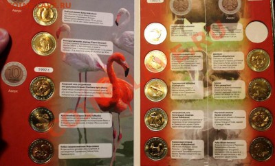 КРАСНАЯ КНИГА 14шт.без фламинго.мешковые.в блеске+альбом!!! - IMG_8049