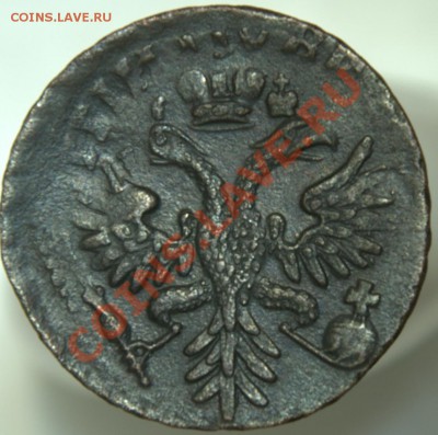 Деньга 1731 в перьях, красивый перечекан на оценку - _DSC3377.NEF