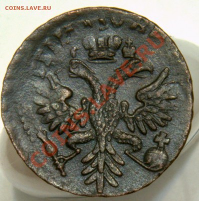 Деньга 1731 в перьях, красивый перечекан на оценку - _DSC3393.NEF