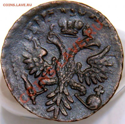 Деньга 1731 в перьях, красивый перечекан на оценку - _DSC3394.NEF