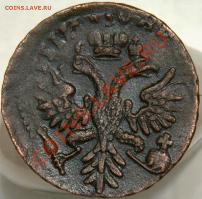 Деньга 1731 в перьях, красивый перечекан на оценку - _DSC3395.NEF