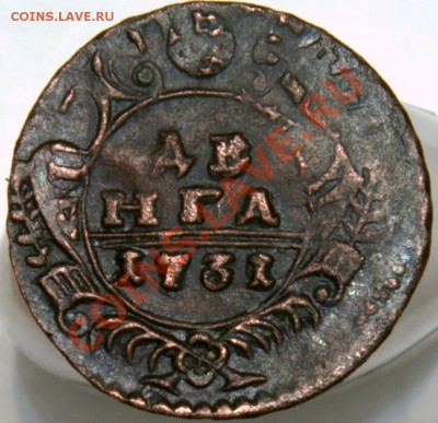 Деньга 1731 в перьях, красивый перечекан на оценку - _DSC3396.NEF