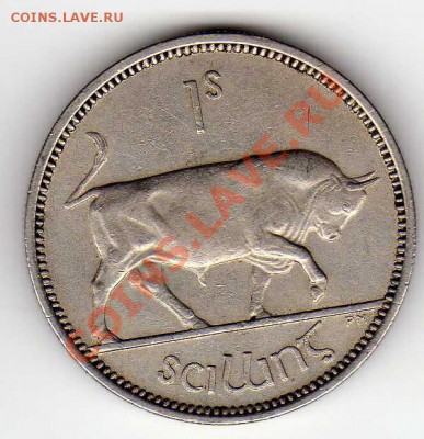 ИРЛАНДИЯ ШИЛЛИНГ 1954 БЫК ДО 27.12.12 В 22.00МСК (3992) - img516
