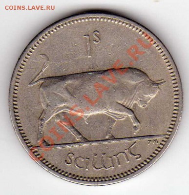 ИРЛАНДИЯ ШИЛЛИНГ 1959 БЫК ДО 27.12.12 В 22.00МСК (3992) - img517