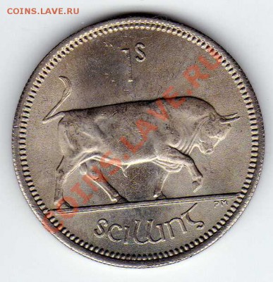 ИРЛАНДИЯ ШИЛЛИНГ 1964 БЫК ДО 27.12.12 В 22.00МСК (3992) - img520