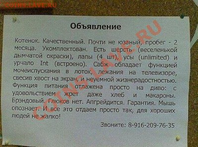 юмор - getImage (3)