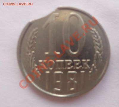 Короткий: 10 коп 1981 год выкус. 25.12.2012г. в 22.00 по МСК - DSC09409.JPG