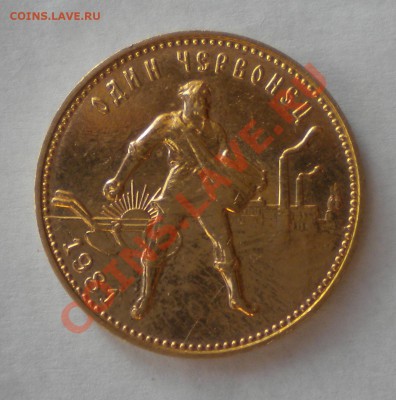 Червонец 1981г ММД - DSCN4318.JPG