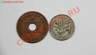 Нигерия 1959год (2 монеты) до 27.12-21.30 - IMG_6876 (Large).JPG