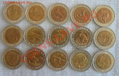 Полный набор Красная Книга Оценка - $(KGrHqZ,!iYFCYHM,WqlBQ)THG4N1Q~~60_57.JPG
