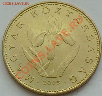 ВЕНГРИЯ - 20 форинтов 2005 - до 30 ДЕКАБРЯ - 351