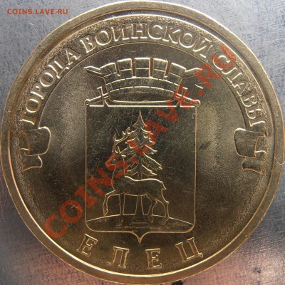 Все разновиды ГВС 2012+ Елец(2) до 31.12.12 20.00 мск - PC250021.JPG