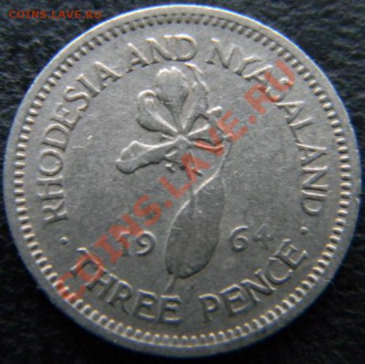 3 пенса Родезия и Ньясаленд 1964г. - DSCN4568.JPG