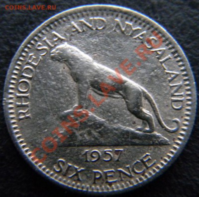 6 пенсов Родезия и Ньясаленд 1957г. - DSCN4570.JPG