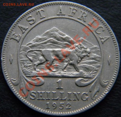 1 шиллинг Восточная Африка 1952г. - DSCN4579.JPG