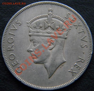 1 шиллинг Восточная Африка 1952г. - DSCN4580.JPG