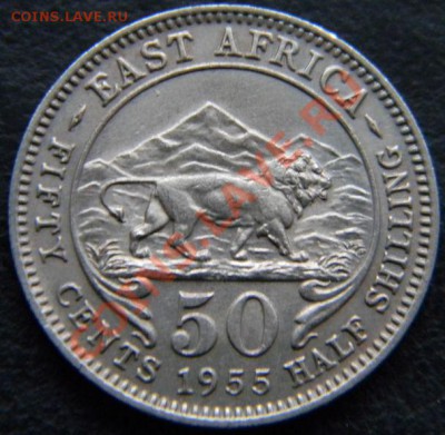 50 центов Восточная Африка 1955г. - DSCN4587.JPG