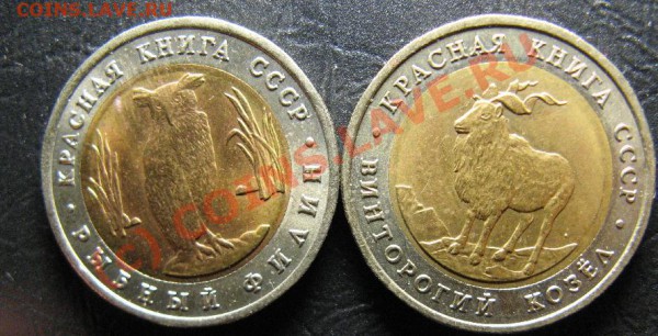 КРАСНАЯ КНИГА 1991г - 25.JPG